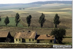 Austrian countryside