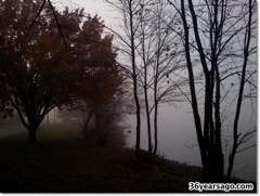 Fall fog by lake