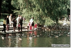 Feeding the ducks in the park