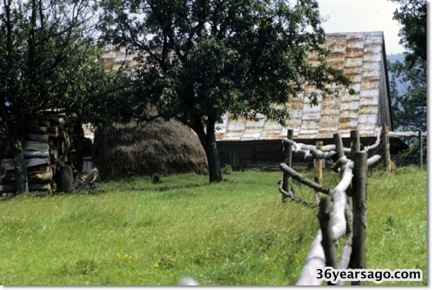 My mothers house 01