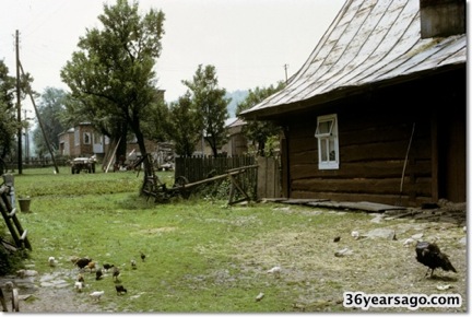 My mothers house 03