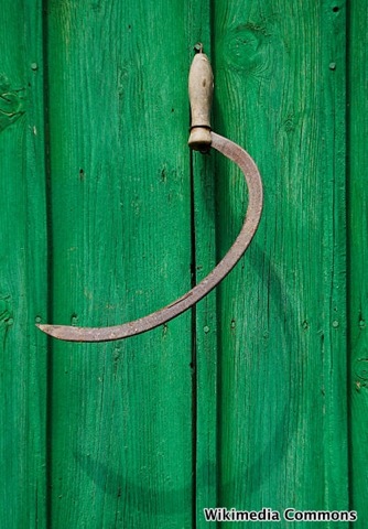 Typical sickle on Polish farm