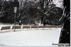 Vienna park in snow