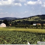 19_Slides_033